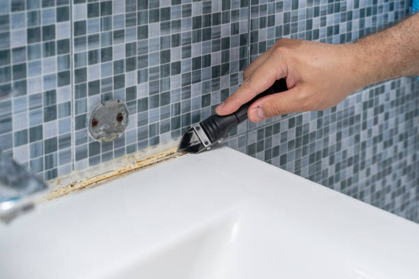 Reliable Inglewood, CA Mold Remediation Solutions